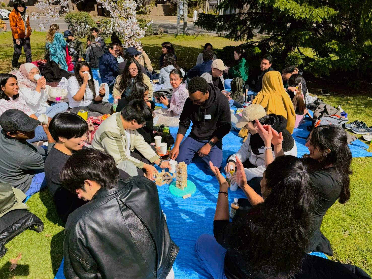 2026.4 hanami3