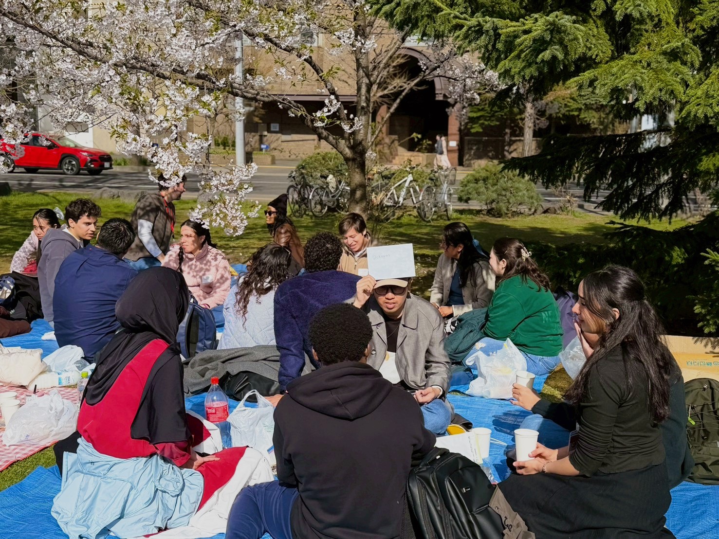 2026.4 hanami4