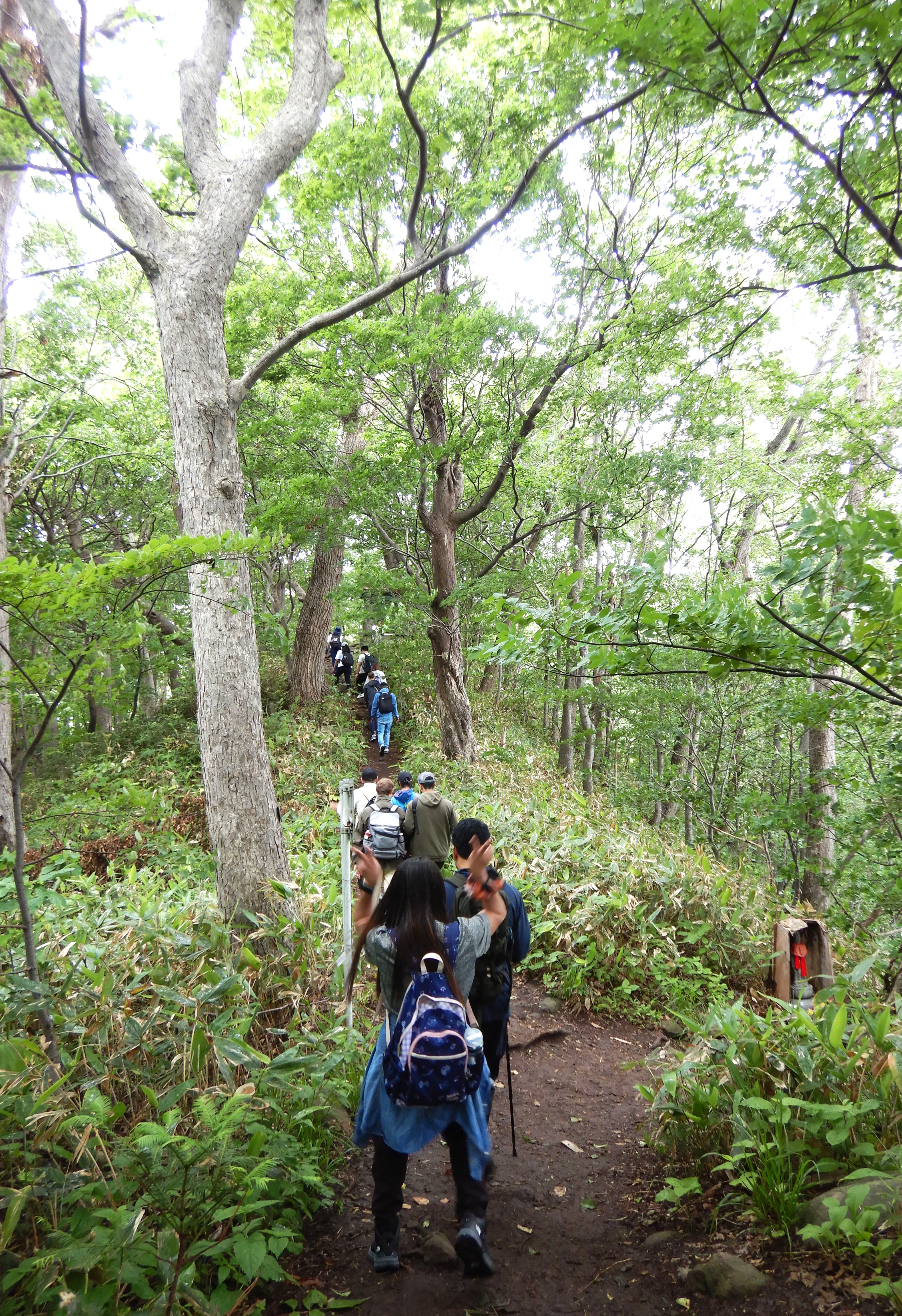 2026.6 hiking3